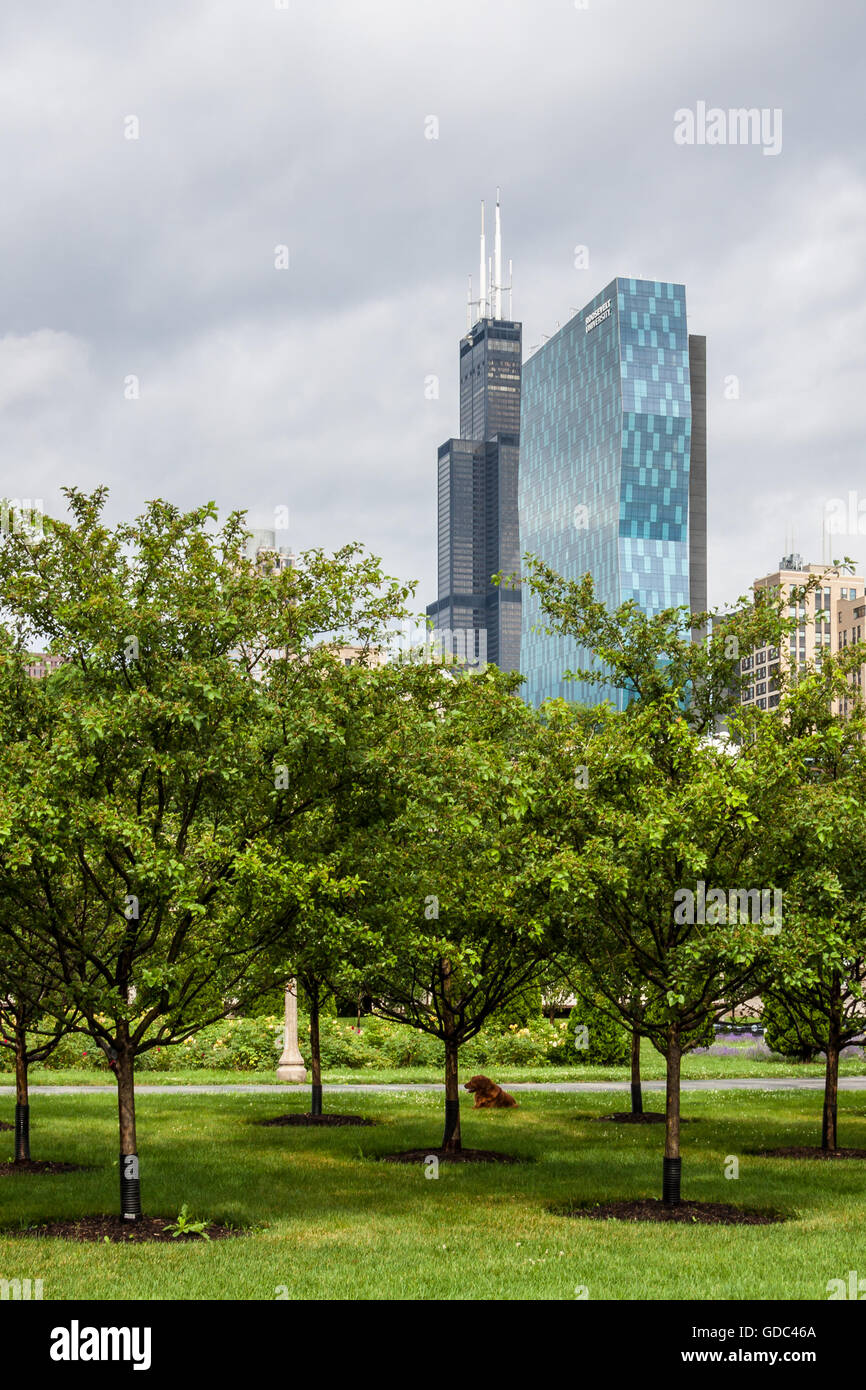 La Willis Tower, Chicago Banque D'Images