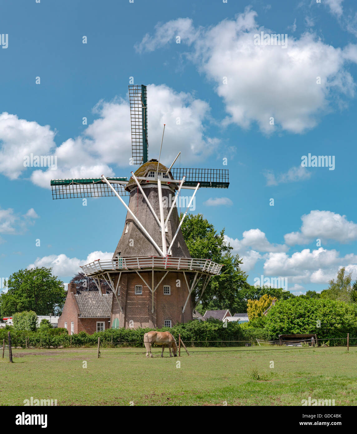 Norg,Drenthe Noordenveld,Smock mill appelée Banque D'Images
