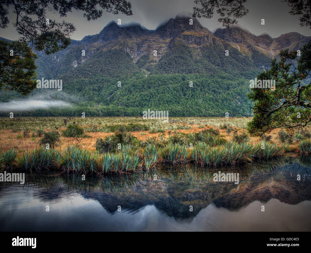 Mirror Lake, Nouvelle-Zélande, Milford Sound,réflexion,arbres,Danemark,lac,nuages,harmonie,vert,mauvais temps Banque D'Images