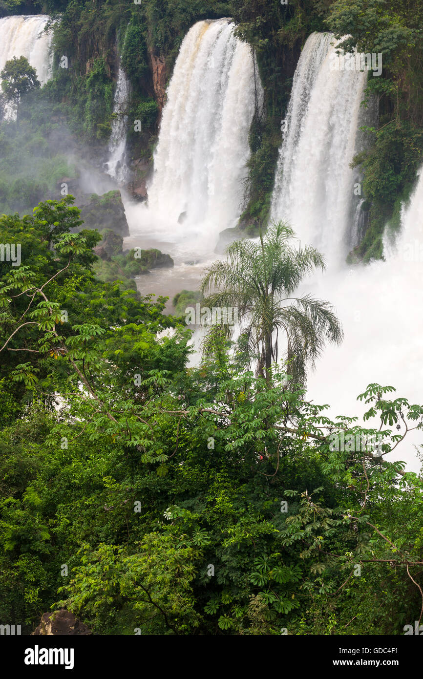 Iguazu Falls,Argentine Banque D'Images