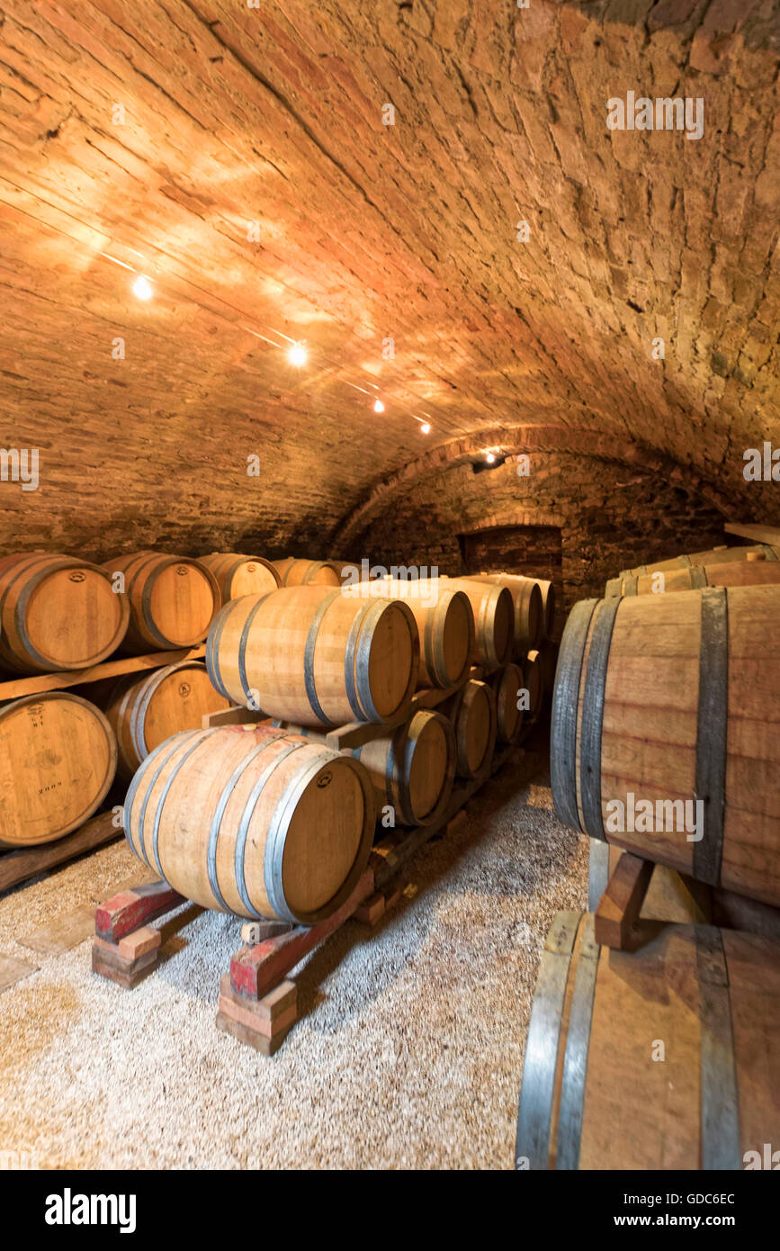 ancienne cave à vin Banque D'Images