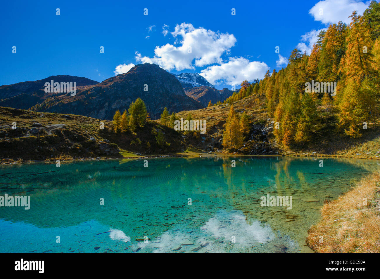 Lac Bleu,Valais,Suisse Photo Stock Alamy