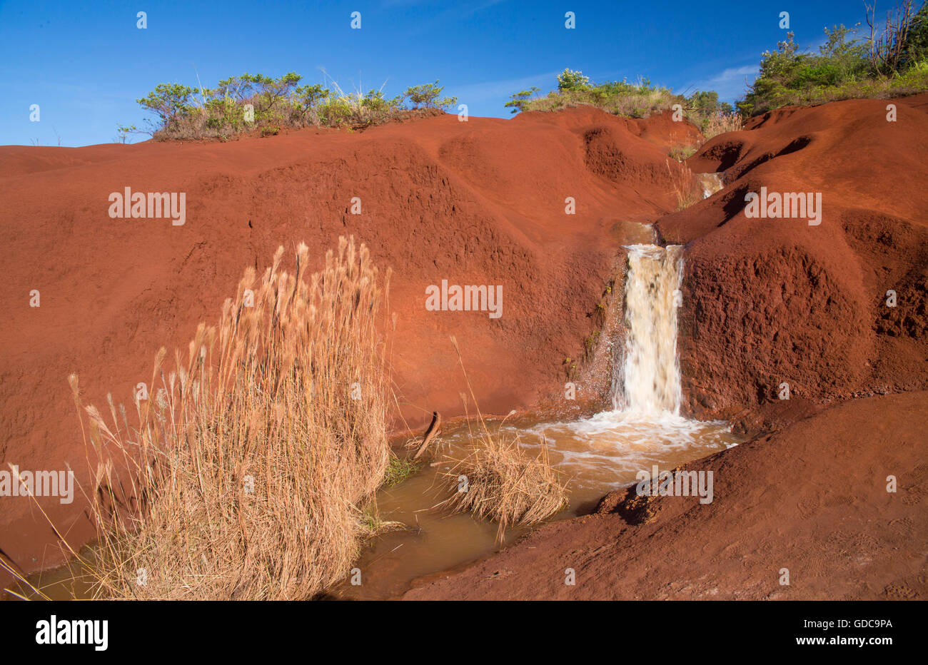 Kauai Waimea canyon,,,State Park,Kauai,USA,New York,Nord,cascade, Banque D'Images