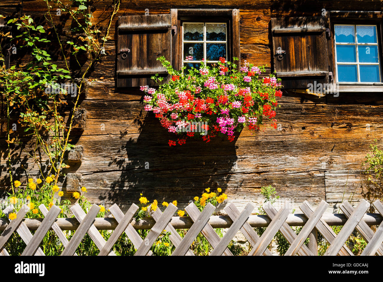 Allgäu,Alpes d'Allgäu, Alpes,paysage alpin,ferme,Bavaria,près d'Oberstdorf,Allemagne,europe,bois,maison,Gerstruben Obera Banque D'Images