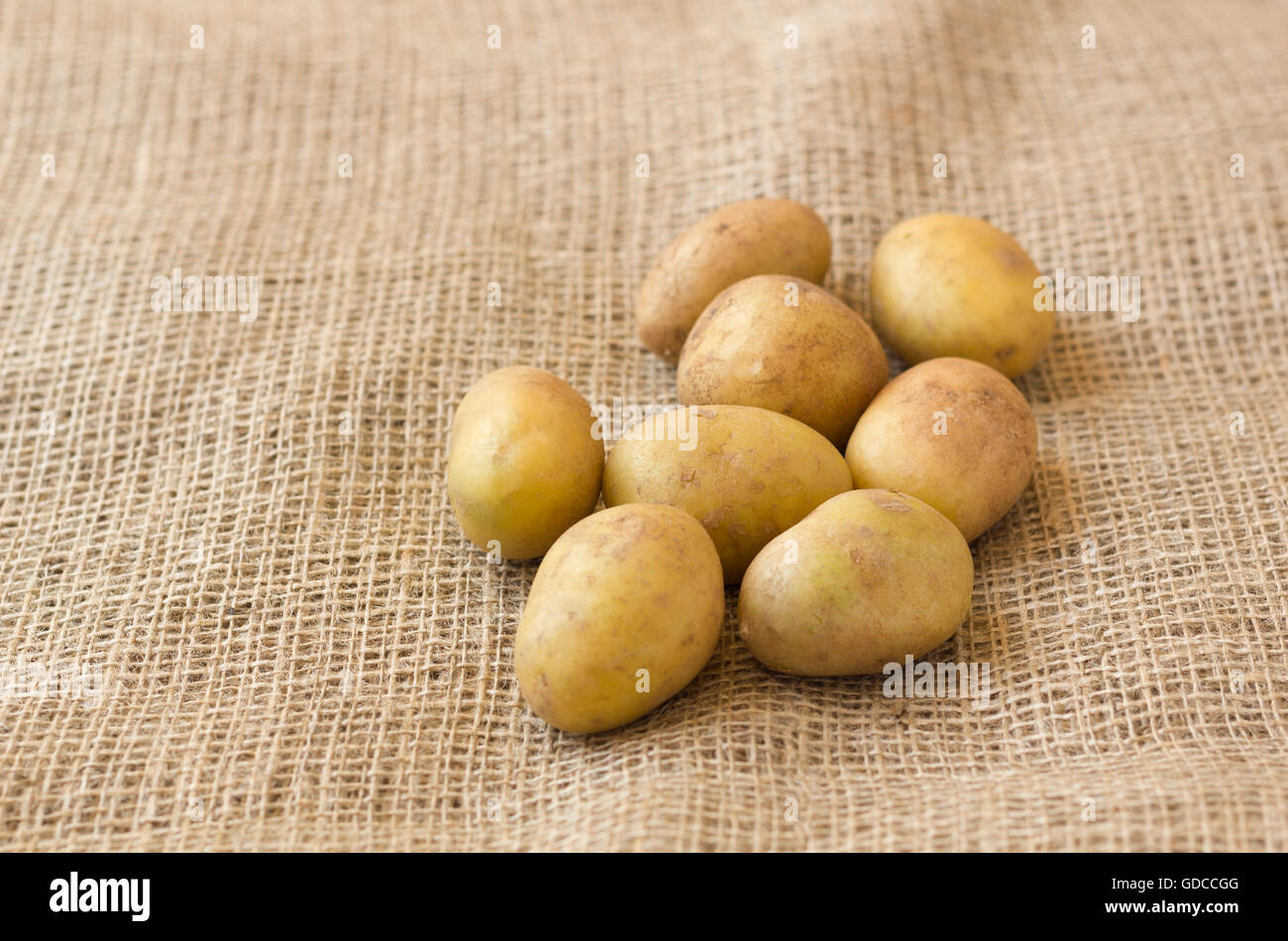 Pommes de terre sur la jute Banque de photographies et d’images à haute