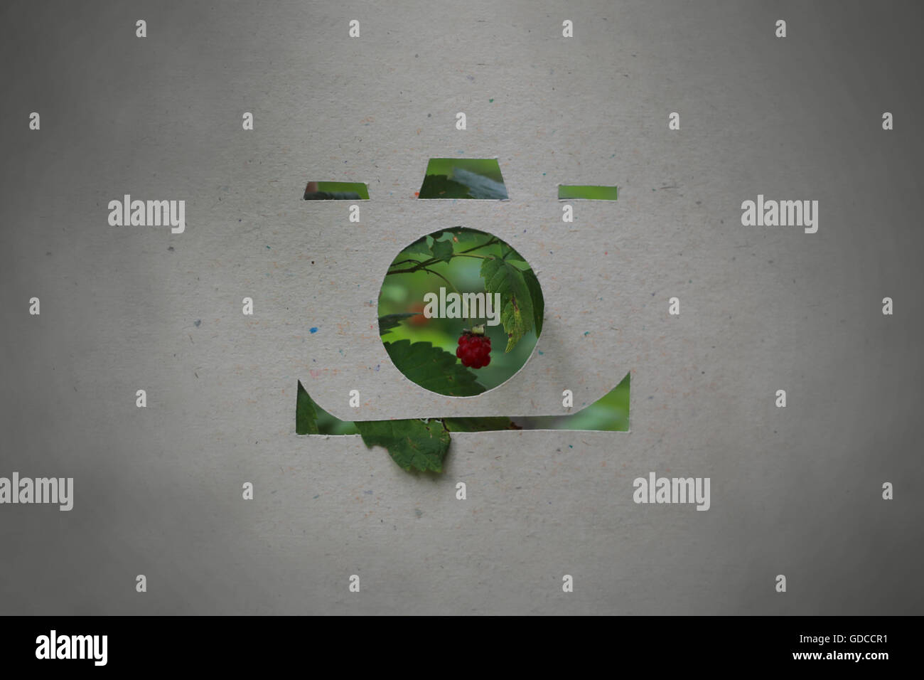 L'icône de caméra en coupe papier sur framboise fond naturel Banque D'Images