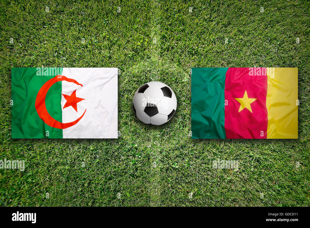Algérie vs Cameroun Les drapeaux sur le terrain de soccer vert Banque D'Images