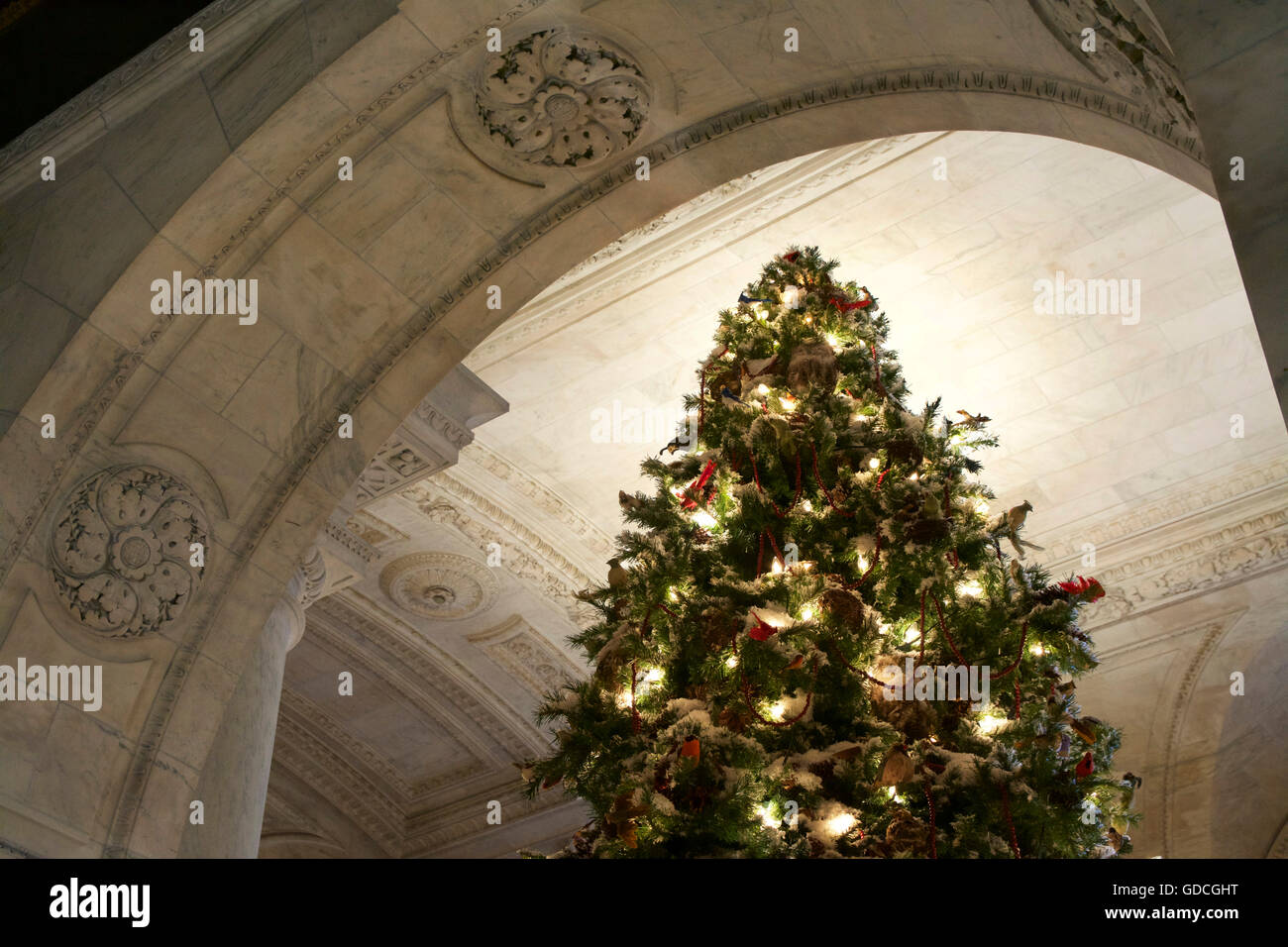 Arbre de Noël avec des lumières et des décorations New York Public Library Banque D'Images