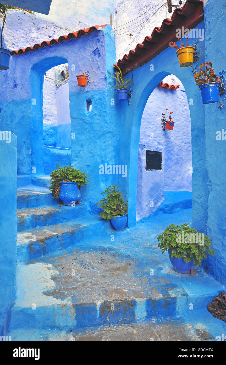 Blue House à Chefchaouen, Maroc Banque D'Images