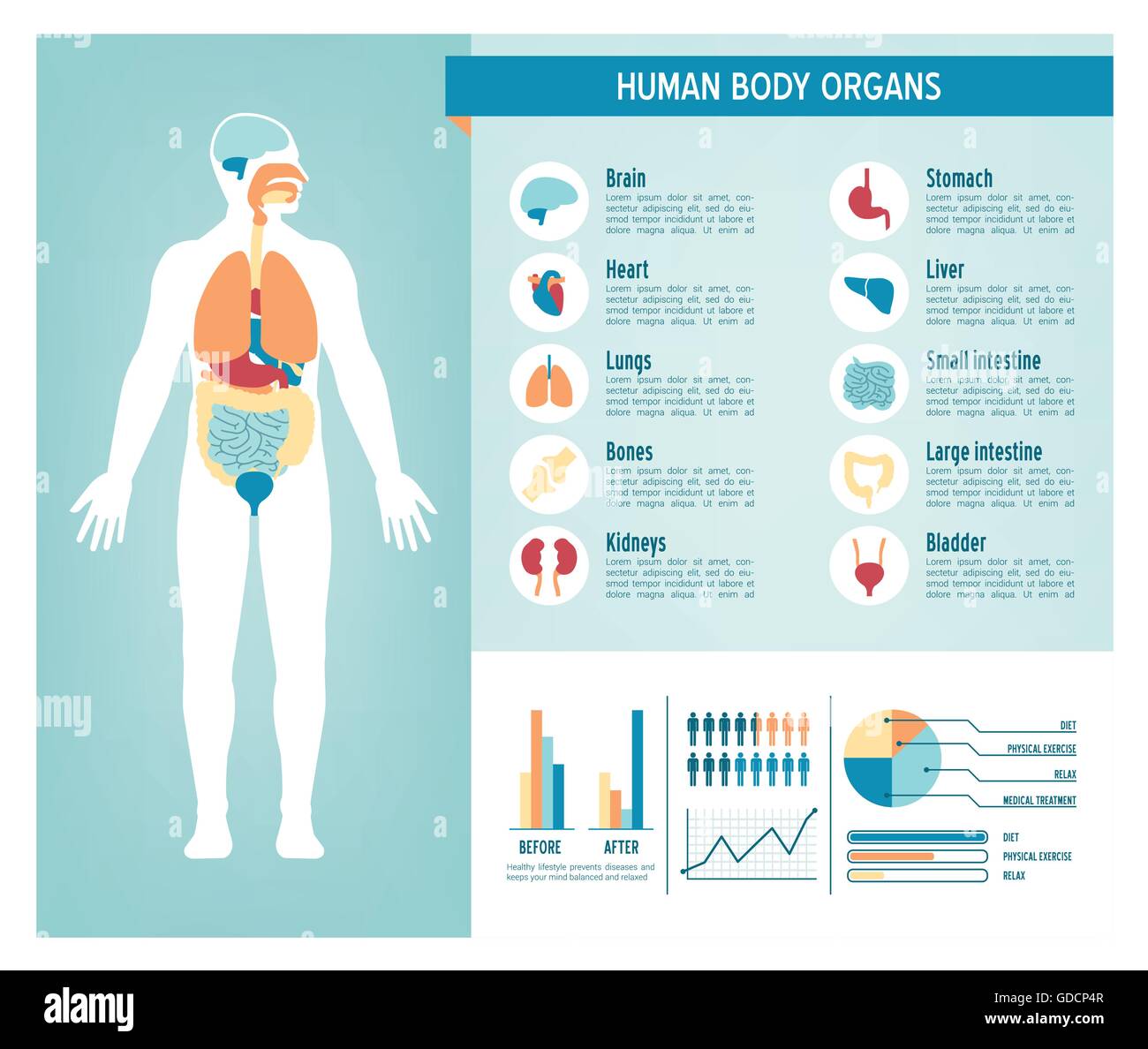 Soins de santé corps humain infographie, avec des icônes, des organes, des tableaux, diagarms et copy space Illustration de Vecteur