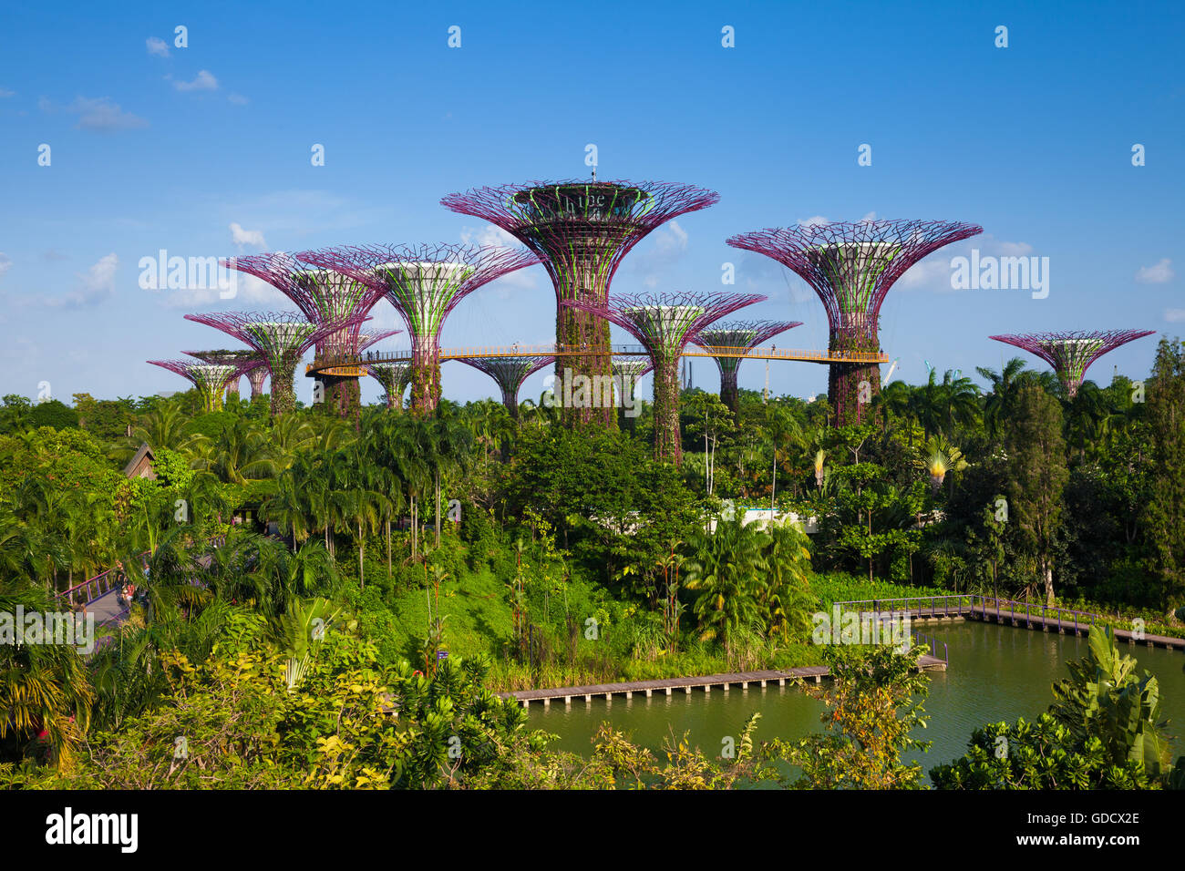 Vue de jour du Supertree grove dans les jardins de La Baie le 17 janvier 2016 à Singapour. Banque D'Images