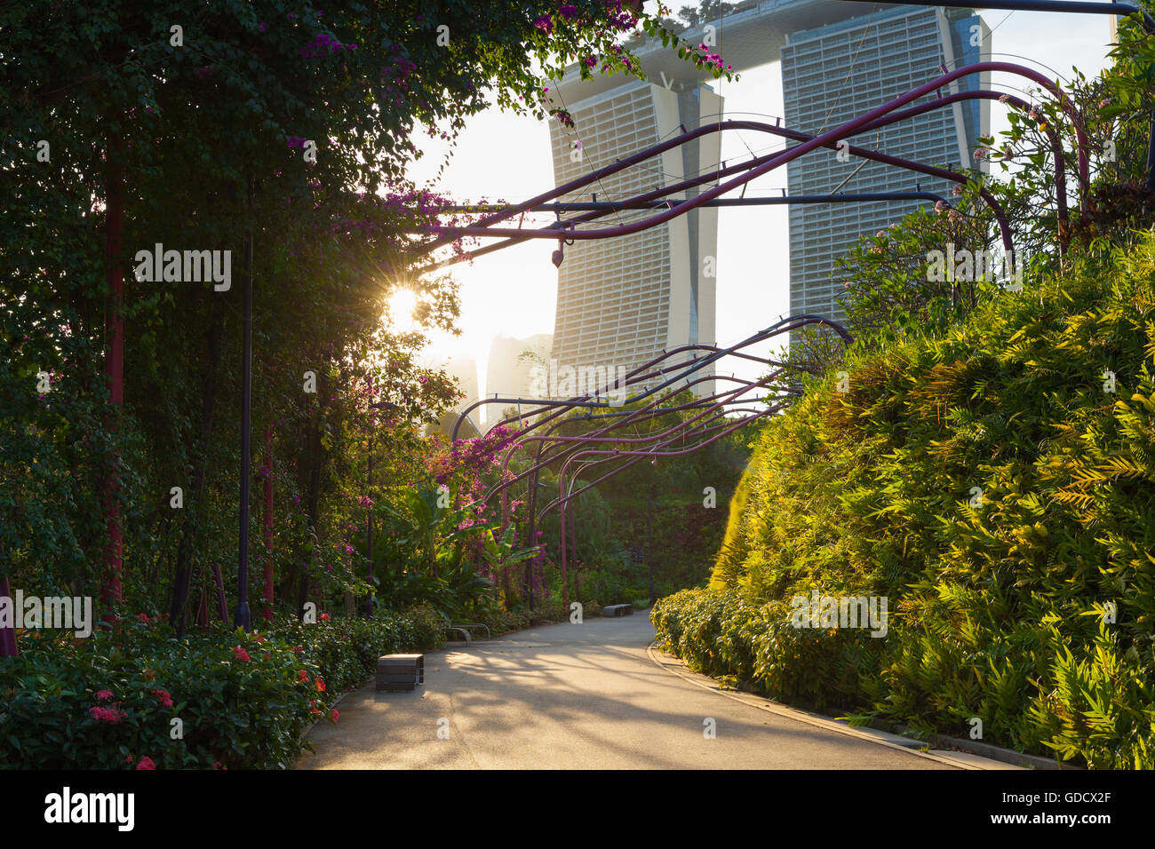 Coucher du soleil sur le parc allée au Gardens By The Bay avec Marina Bay Sands s'appuyant sur l'arrière-plan, Singapour Banque D'Images