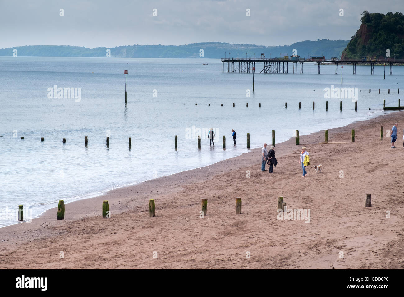 Plage et mer calme en été à Teignmouth, Devon, Angleterre. Banque D'Images