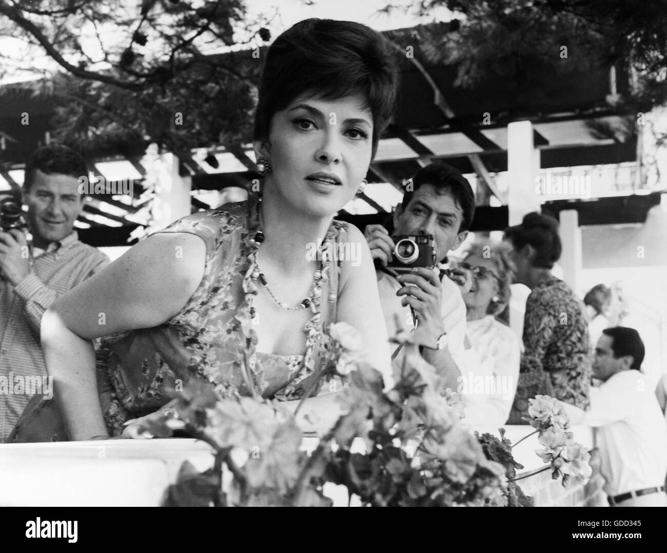 Lollobrigida, Gina, * 4.7.1927, actrice italienne, demi-longueur, au XXIVème Festival du Film de Venise, Venise, août 1963, Banque D'Images