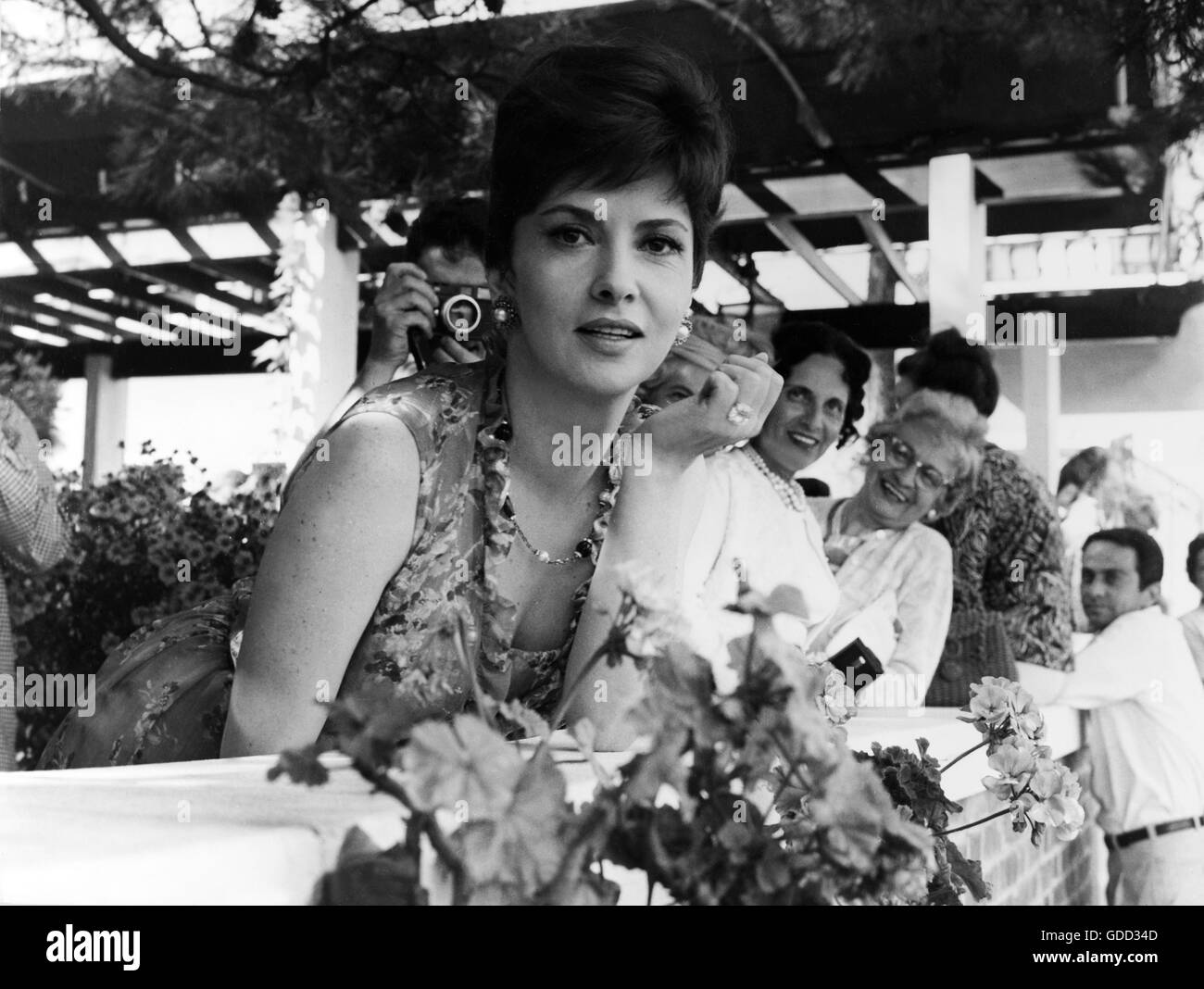 Lollobrigida, Gina, * 4.7.1927, actrice italienne, demi-longueur, au XXIVème Festival du Film de Venise, Venise, août 1963, Banque D'Images