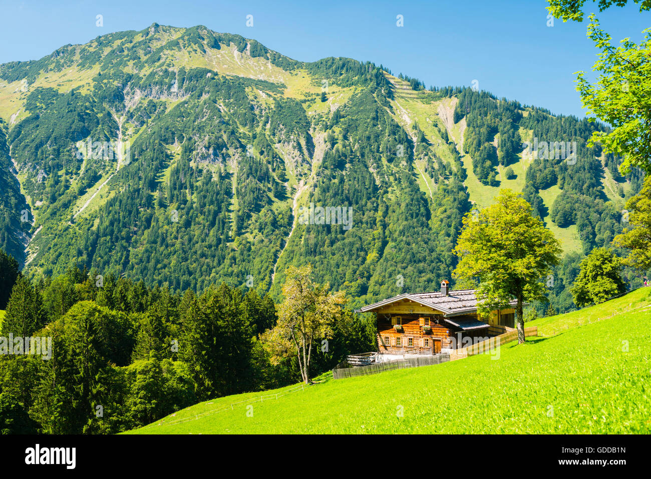 Allgäu,Alpes d'Allgäu, Alpes,paysage alpin,ferme,Bavaria,près d'Oberstdorf,Allemagne,europe,bois,maison,Gerstruben Obera Banque D'Images