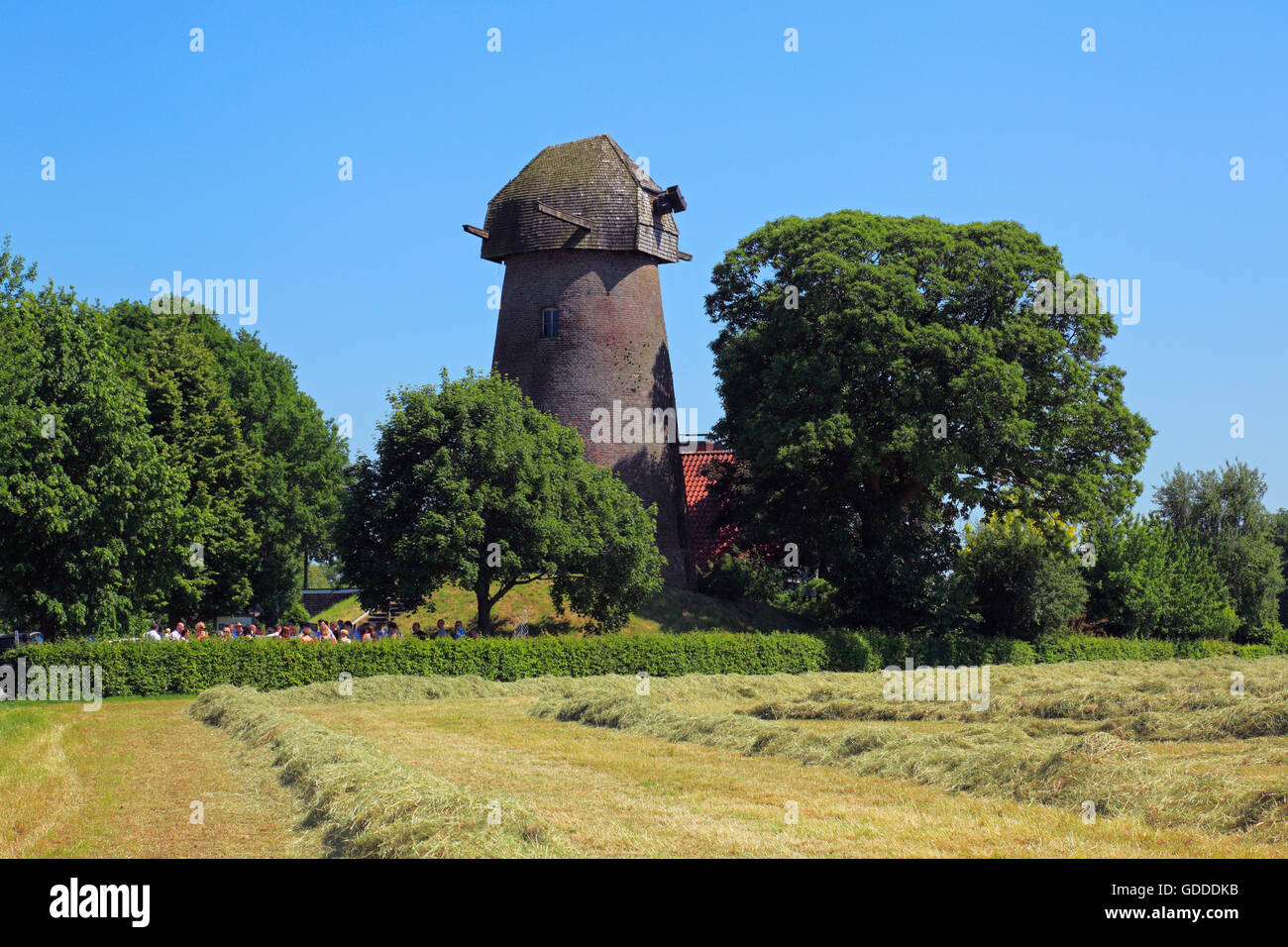 Moulin tour en Rhede-Krommert,pays,Rhénanie du Nord-Westphalie Banque D'Images