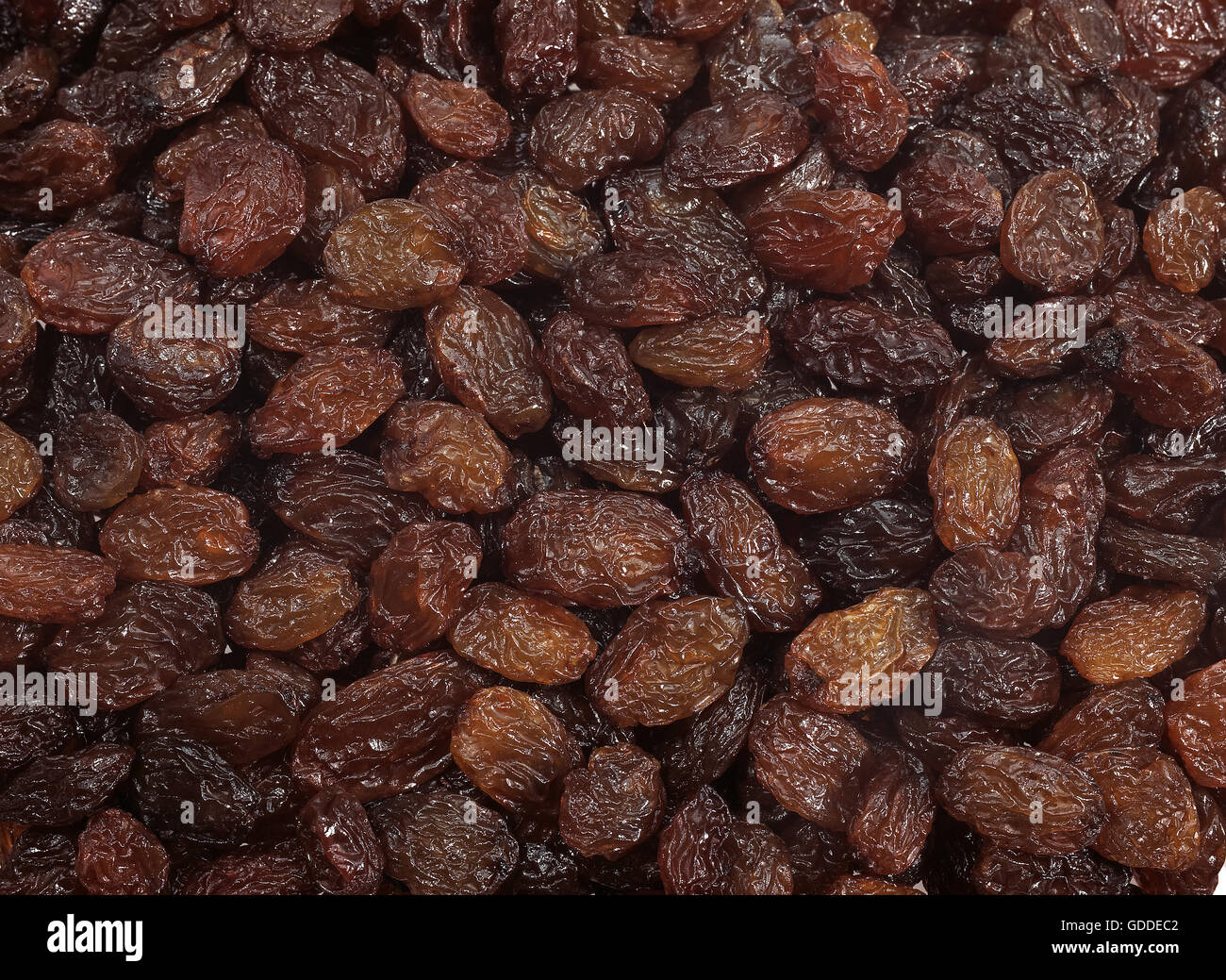 Corinthe, vitis vinifera apyrena, fruits secs Banque D'Images