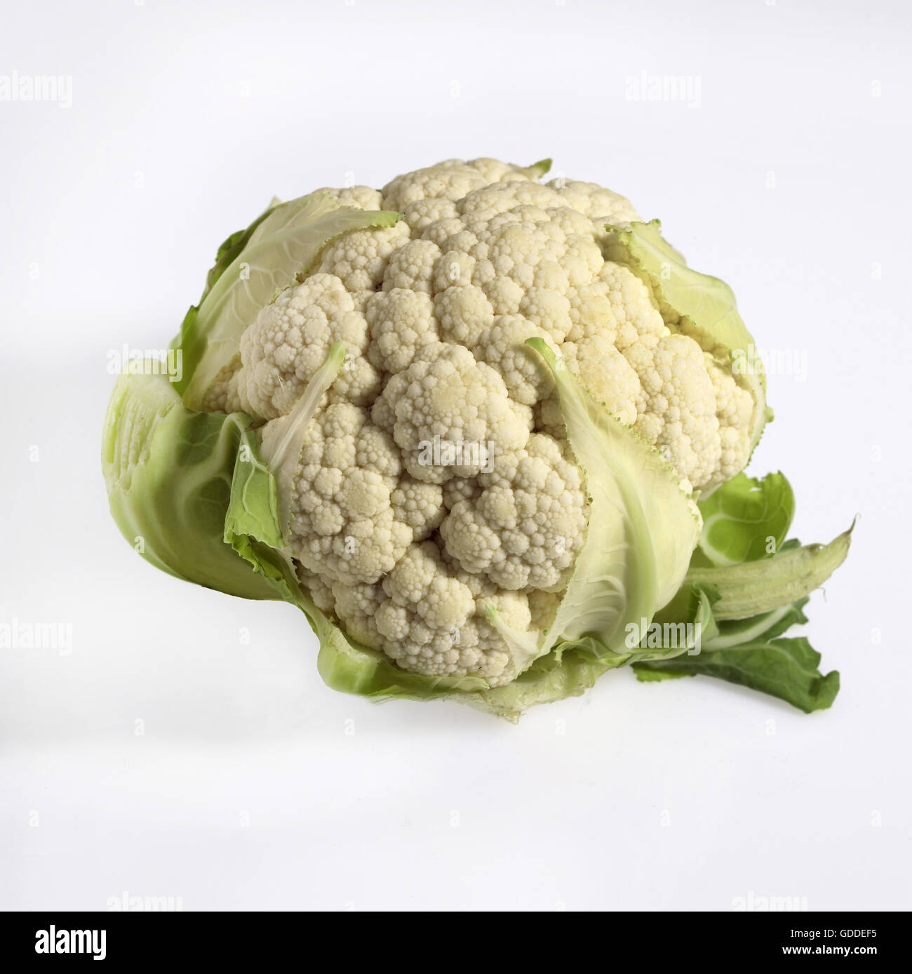 Chou-fleur blanc, Brassica oleracea, légumes contre fond blanc Banque D'Images