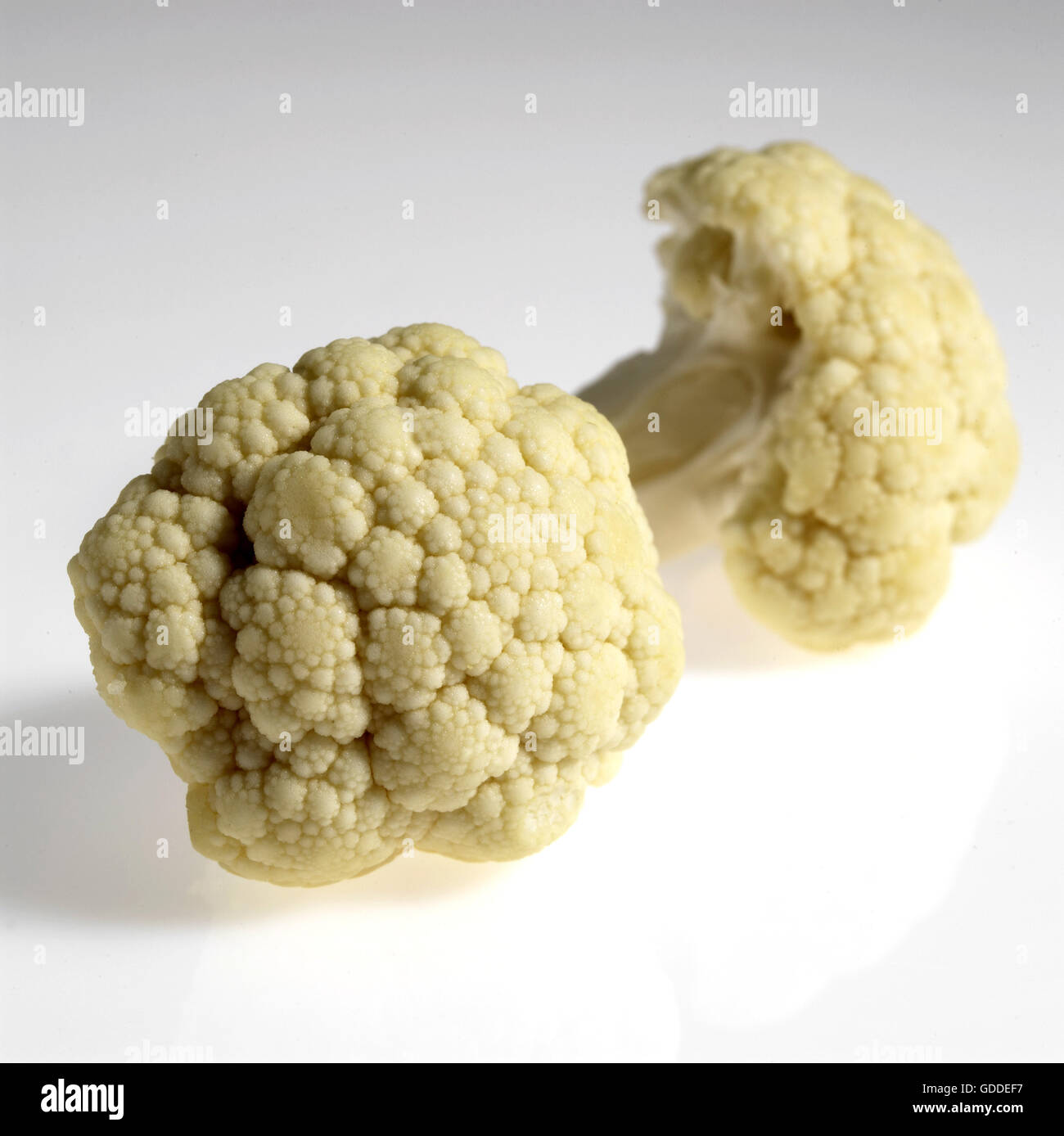 Chou-fleur blanc, Brassica oleracea, légumes contre fond blanc Banque D'Images