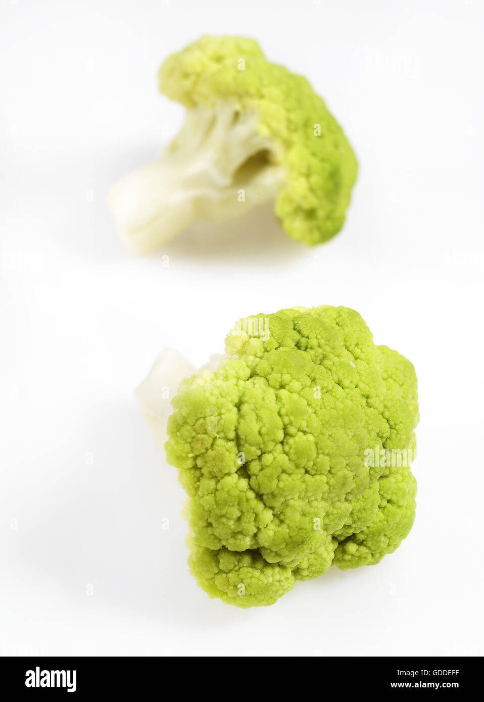 Chou-fleur vert CONTRE FOND BLANC Banque D'Images