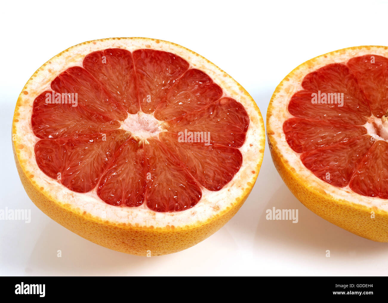 Pomélo, Citrus paradisi, fruits contre fond blanc Banque D'Images