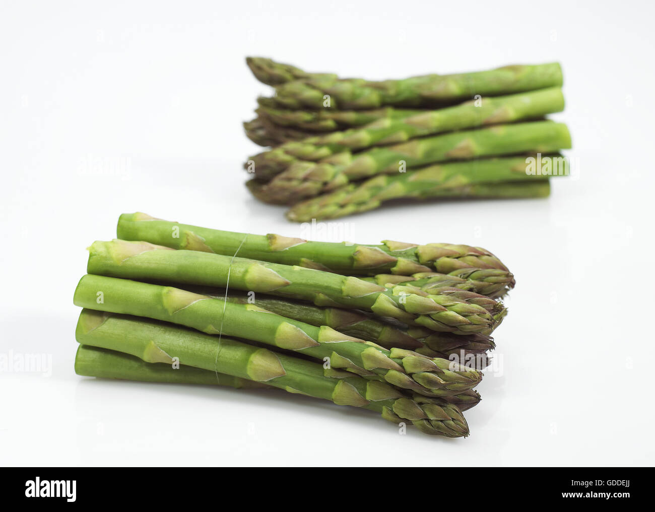 L'asperge verte, asparagus officinalis, légumes contre fond blanc Banque D'Images