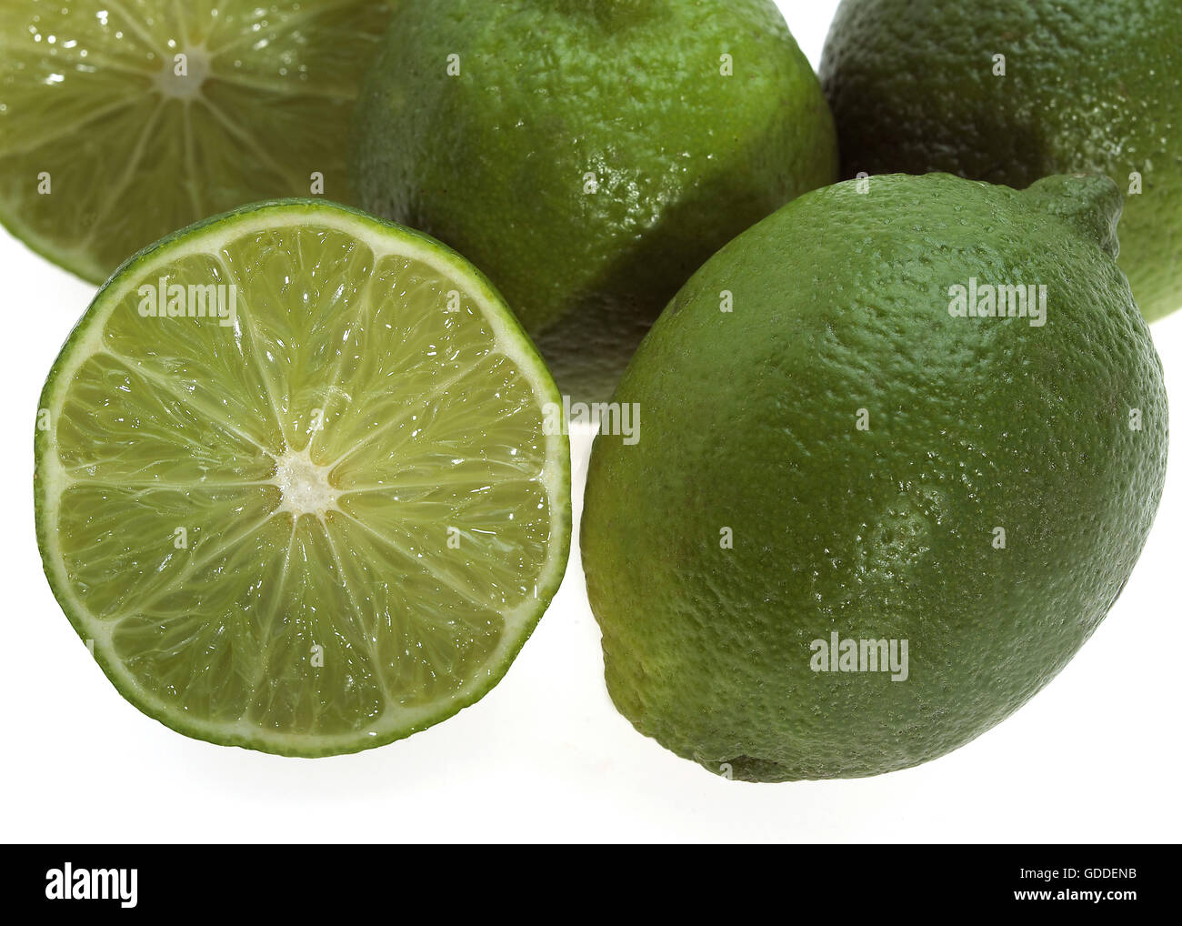 Citron vert Citrus aurantifolia AGAINST WHITE BACKGROUND Banque D'Images