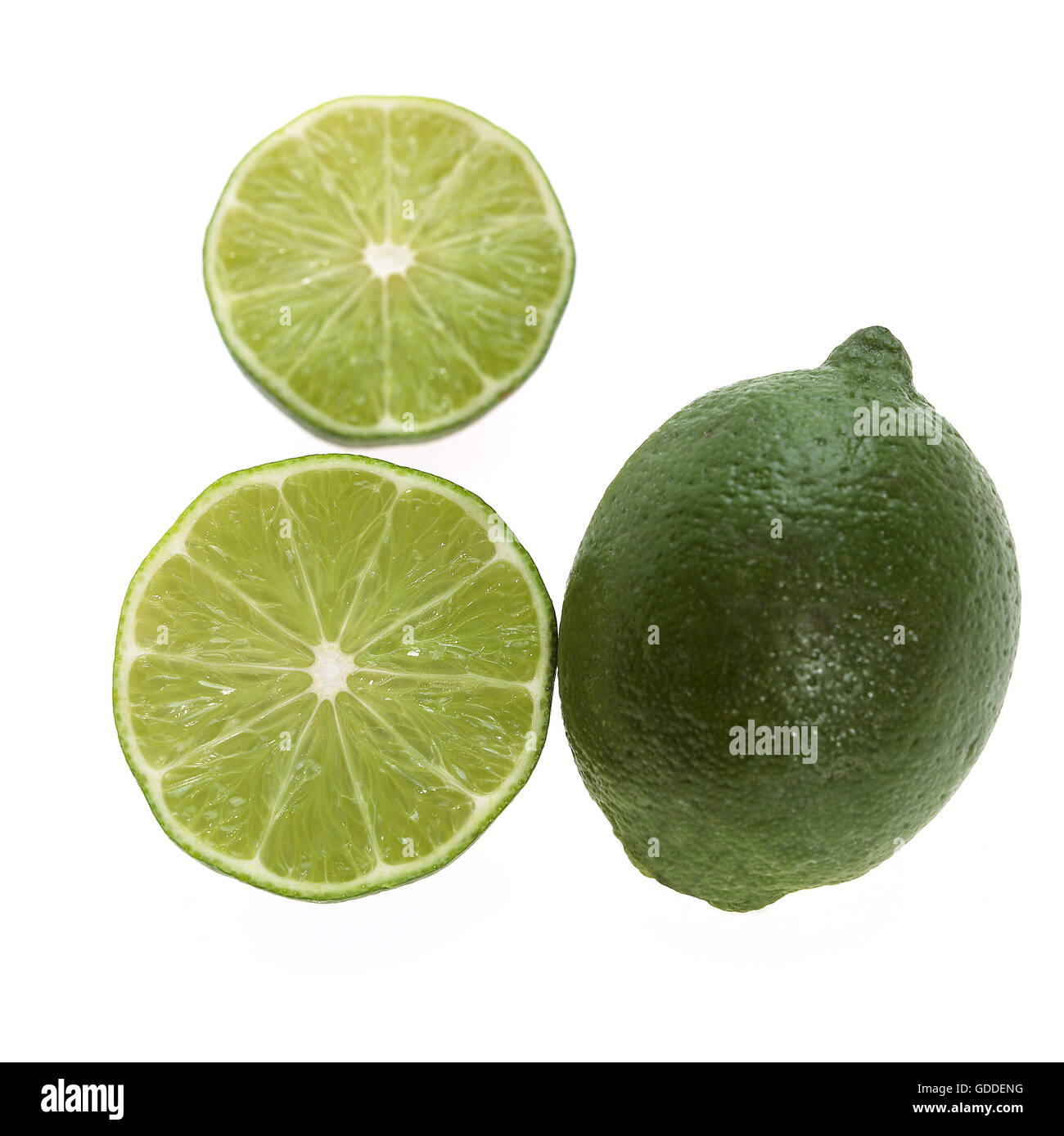 Citron vert, Citrus aurantifolia, fruits contre fond blanc Banque D'Images