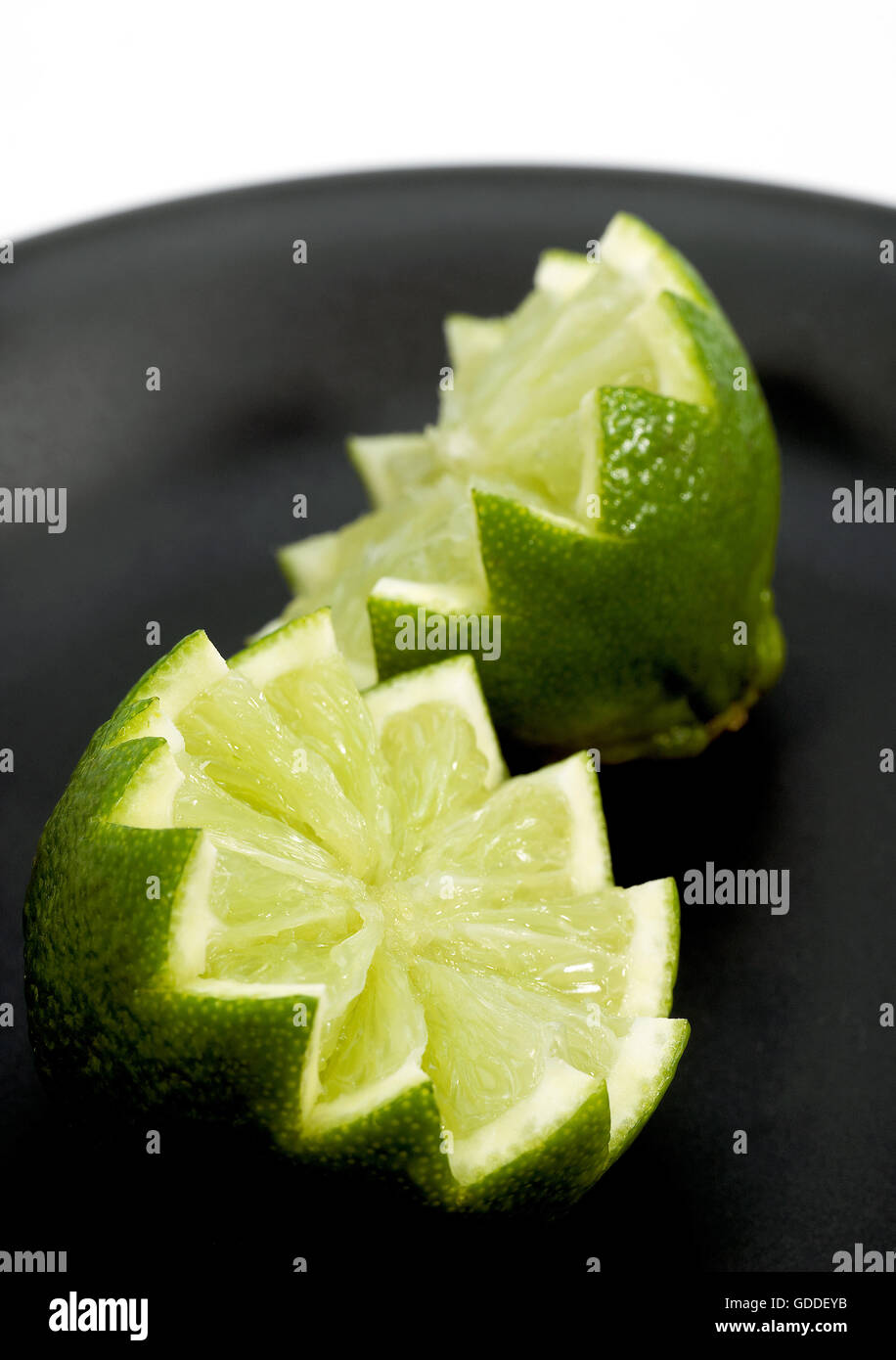 Citron vert Citrus aurantifolia Banque D'Images