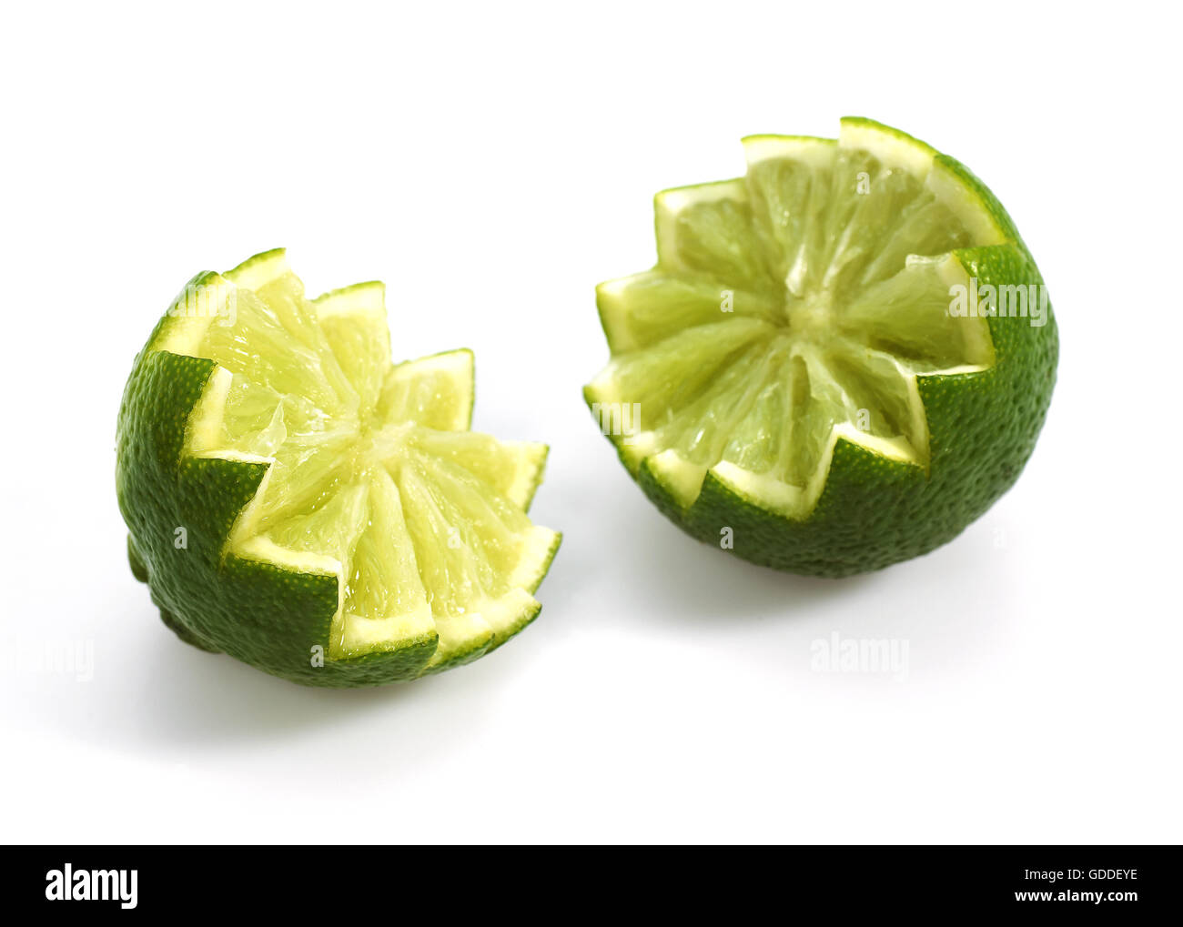 Citron vert Citrus aurantifolia AGAINST WHITE BACKGROUND Banque D'Images