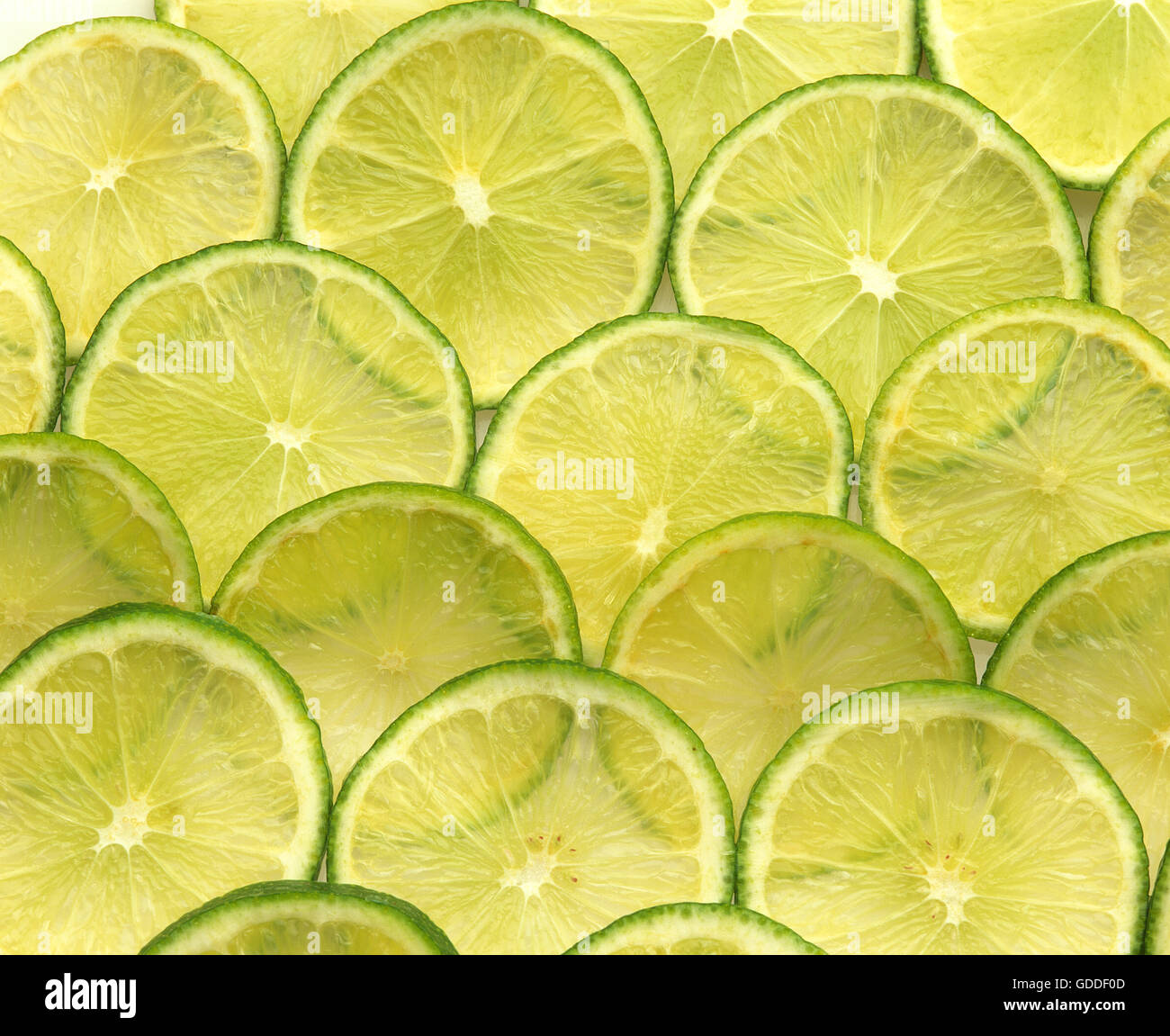 Tranches de citron vert, Citrus aurantifolia Banque D'Images
