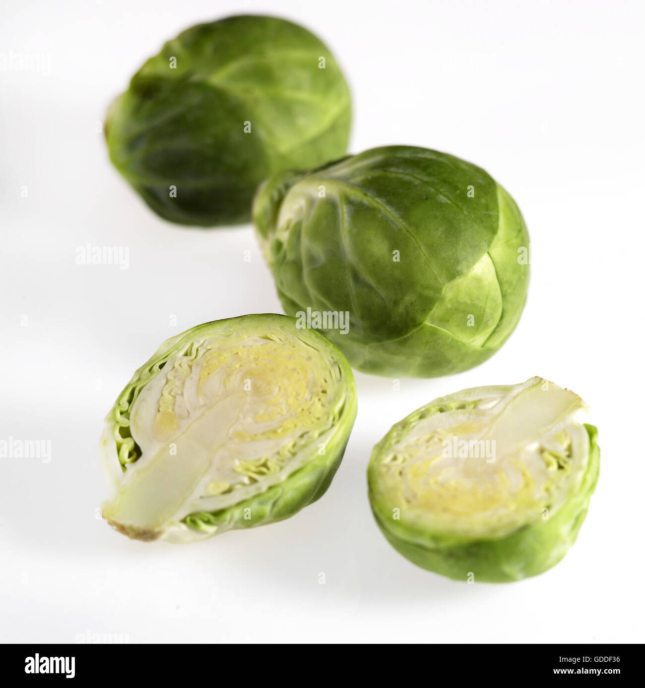 Les choux de Bruxelles, le brassica oleracea, légumes contre fond blanc Banque D'Images