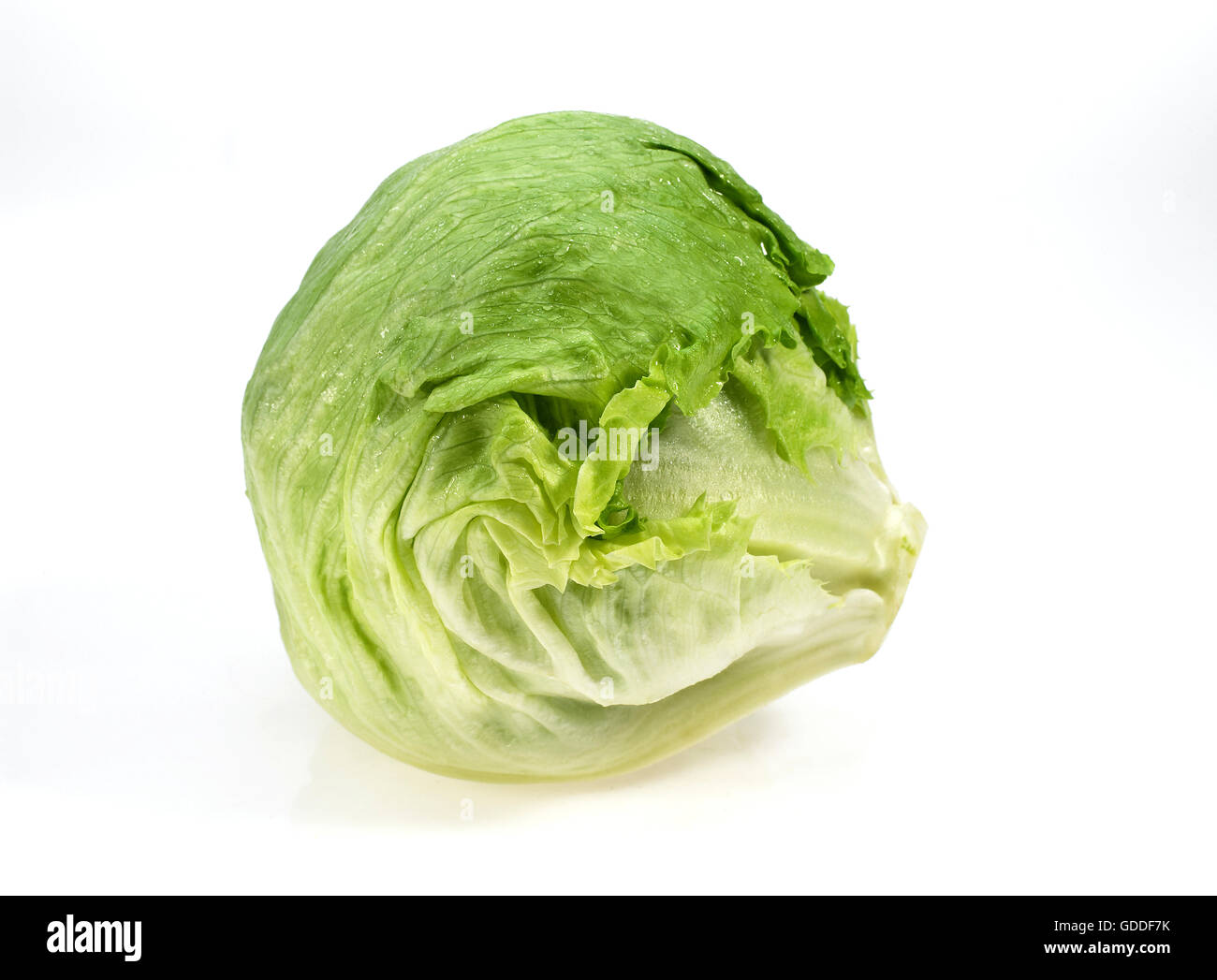 Les choux de Bruxelles, le brassica oleracea, légumes contre fond blanc Banque D'Images