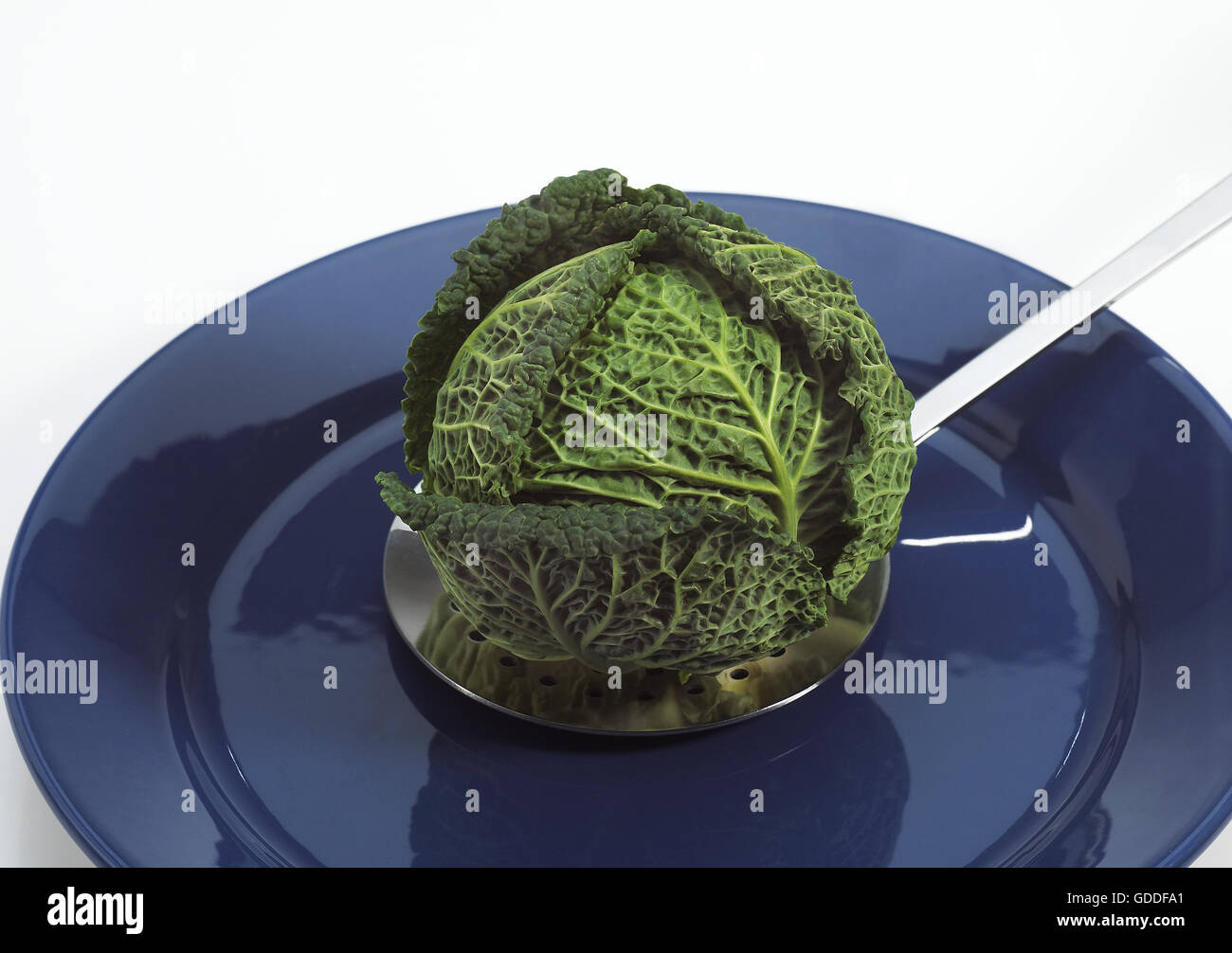 Chou vert MINIATURE DANS UNE ASSIETTE Banque D'Images