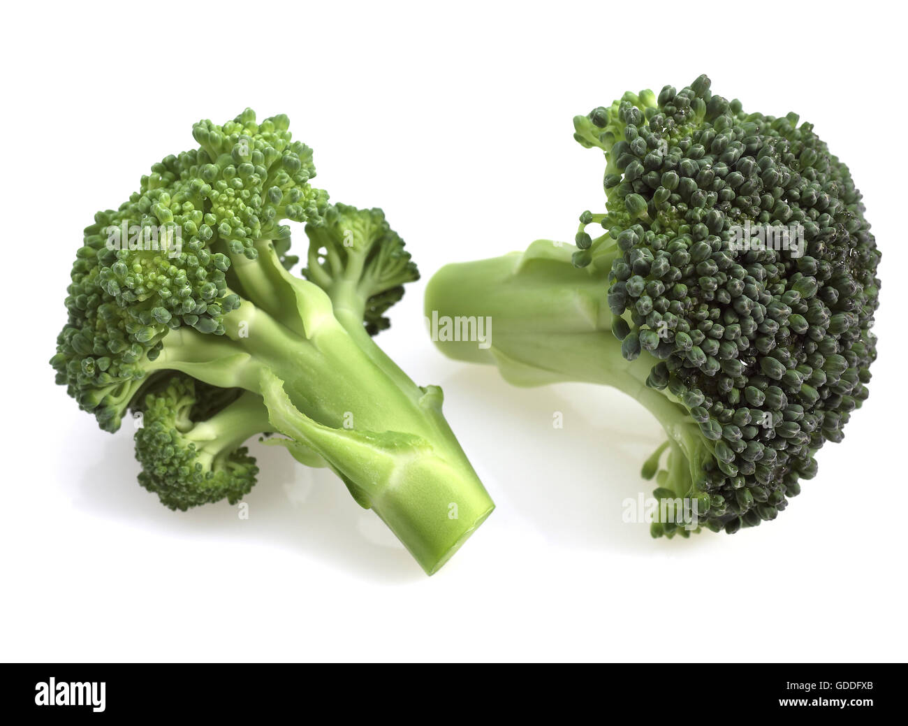 Le Brocoli Chou, Brassica oleracea against White Background Banque D'Images