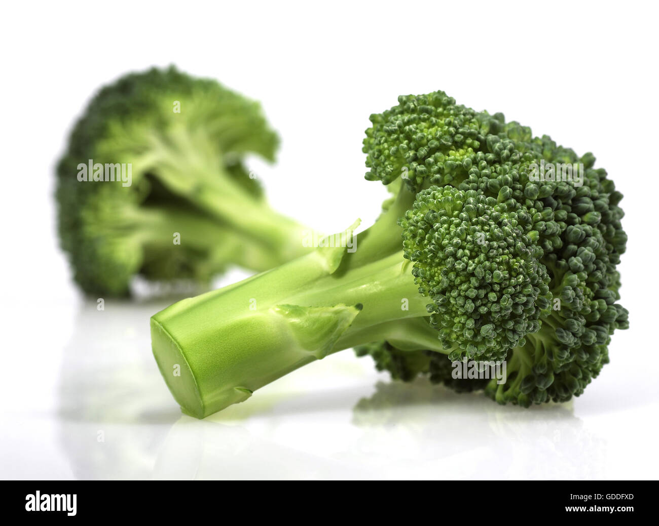 Le Brocoli Chou, Brassica oleracea against White Background Banque D'Images