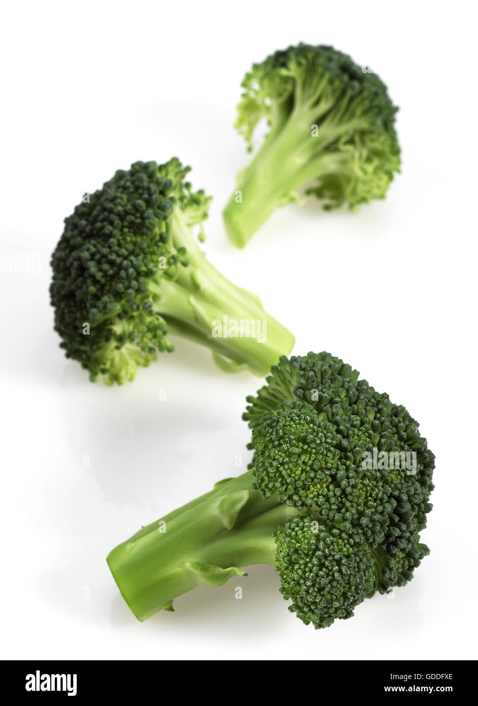 Le brocoli, choux Brassica oleracea, légumes contre fond blanc Banque D'Images