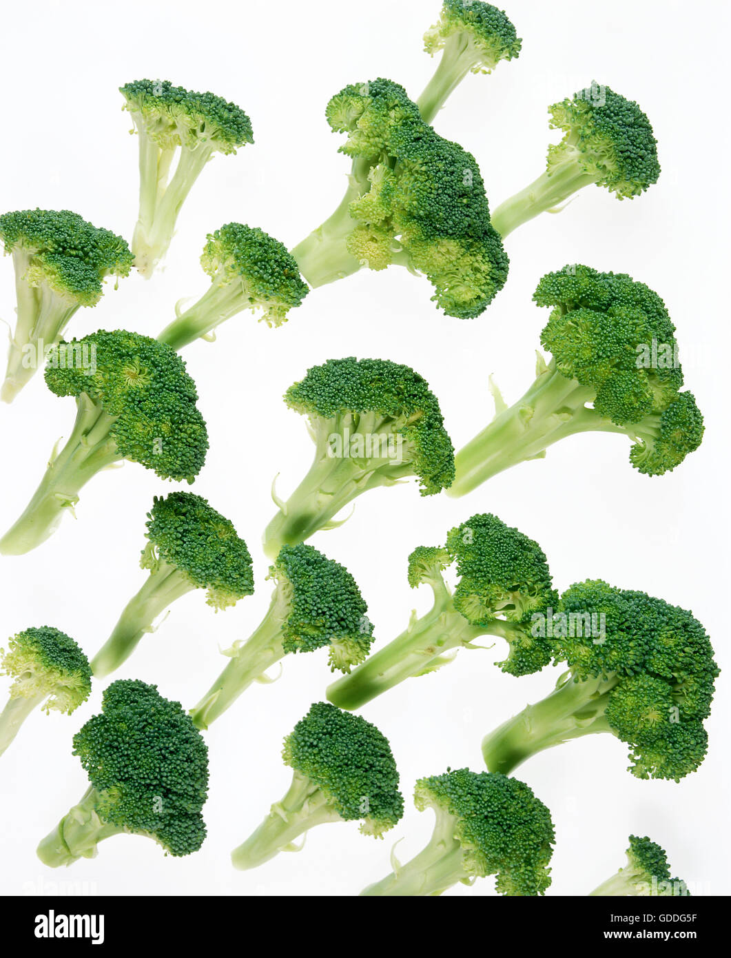 Le brocoli, choux Brassica oleracea, légumes contre fond blanc Banque D'Images