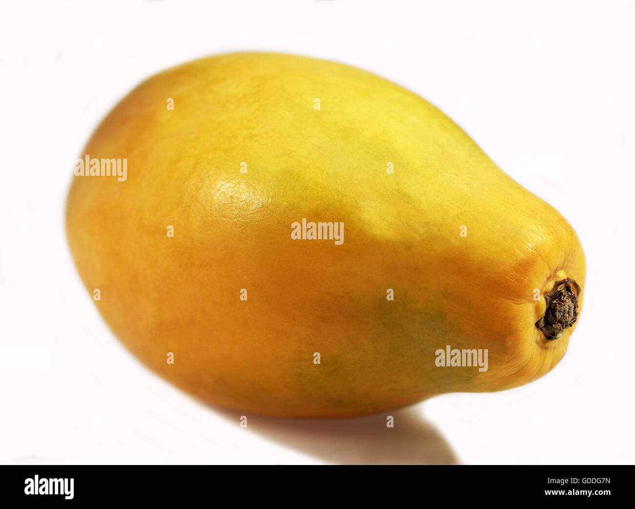 PAW PAW OU PAPAYE Carica papaya AGAINST WHITE BACKGROUND Banque D'Images