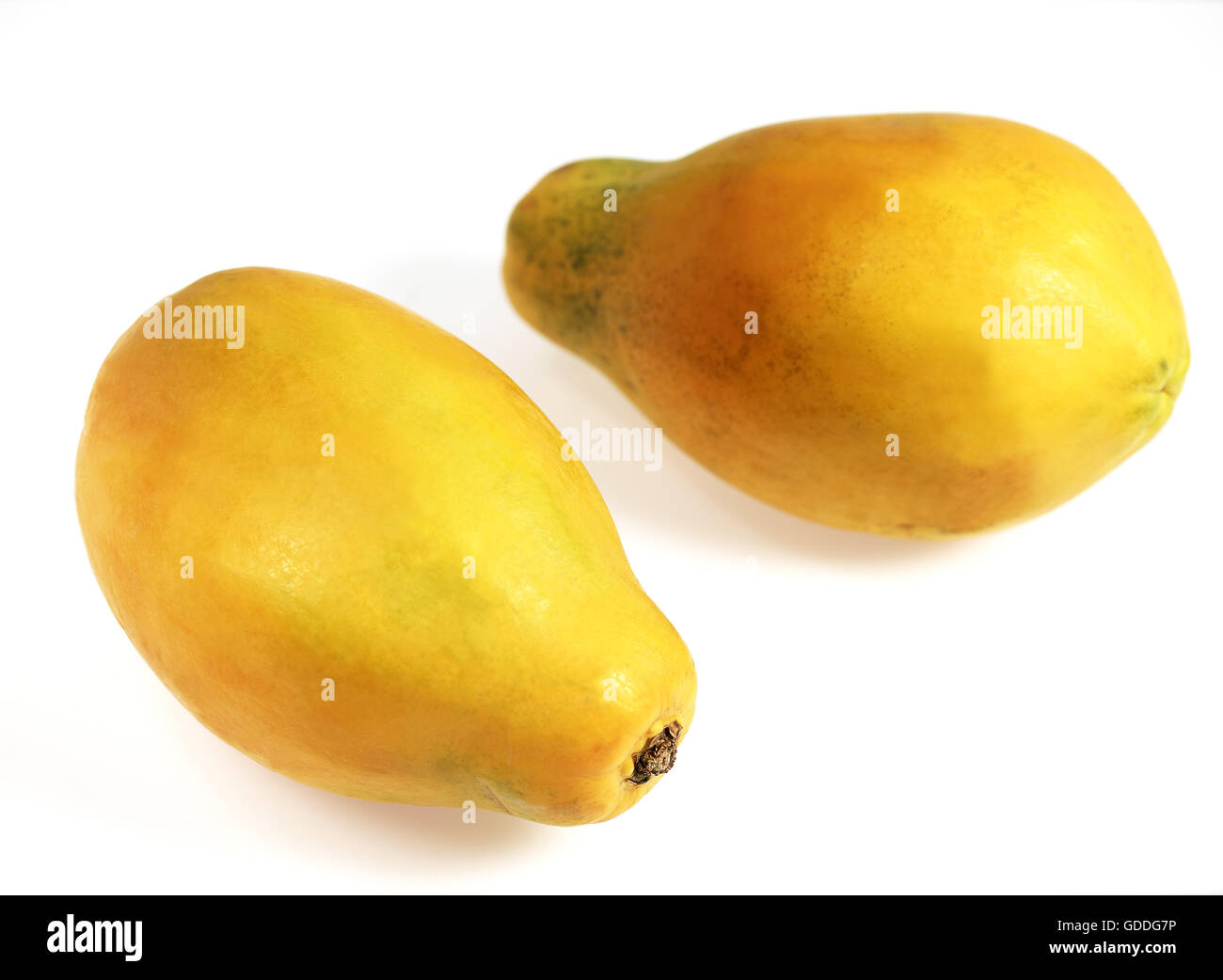 Paw Paw ou de papaye, Carica papaya, Fruits Exotiques contre fond blanc Banque D'Images