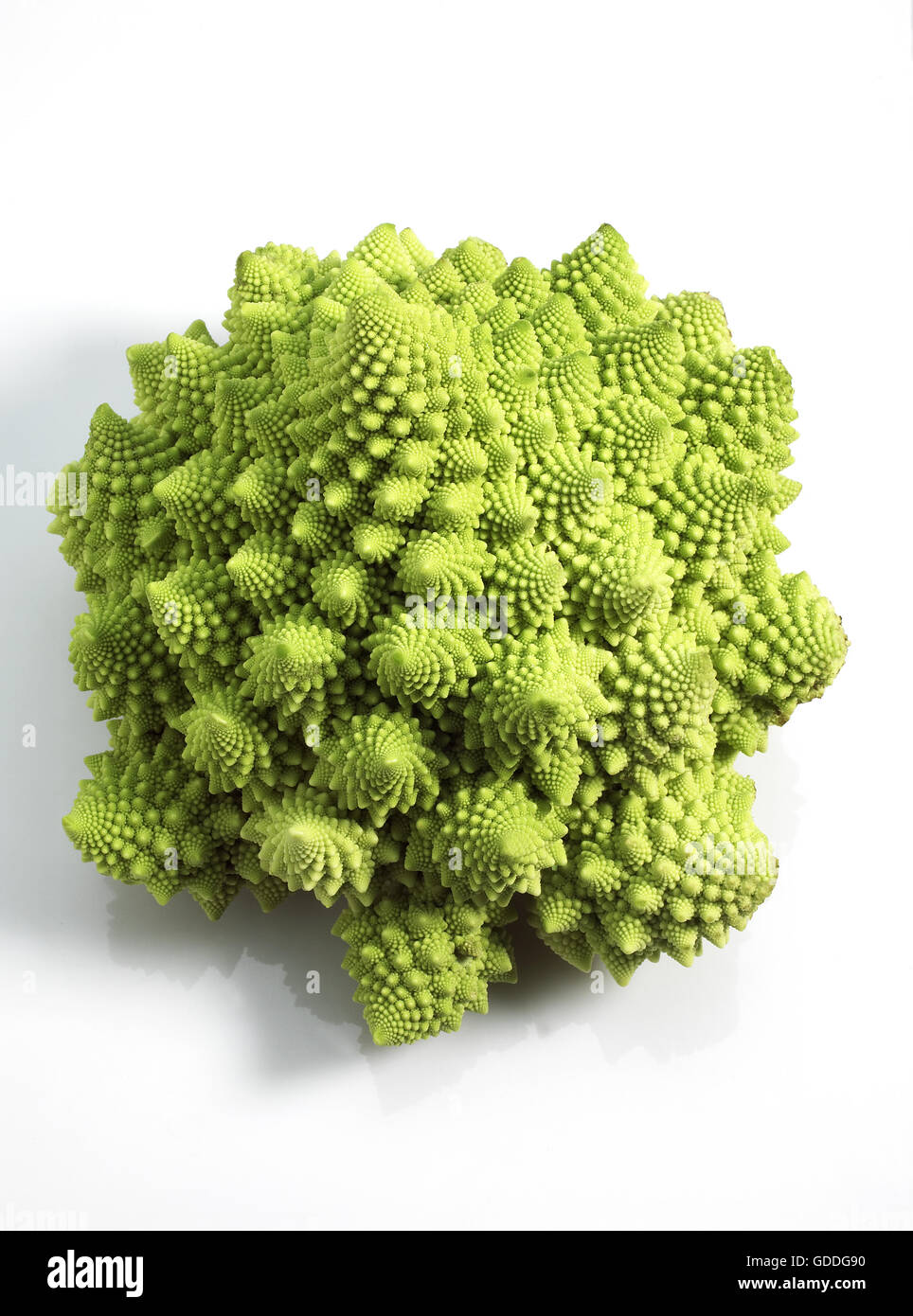Le Chou Romanesco, Brassica oleracea, légumes contre fond blanc Banque D'Images