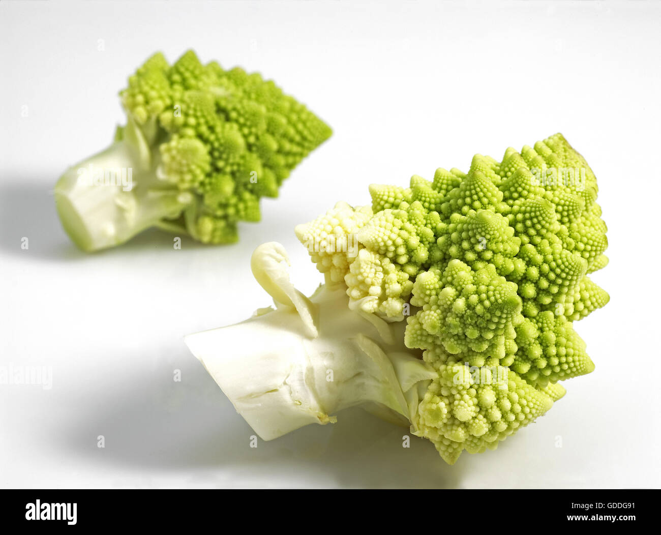 Le Chou ROMANESCO AGAINST WHITE BACKGROUND Banque D'Images