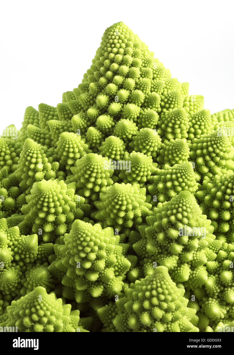 Le Chou ROMANESCO AGAINST WHITE BACKGROUND Banque D'Images