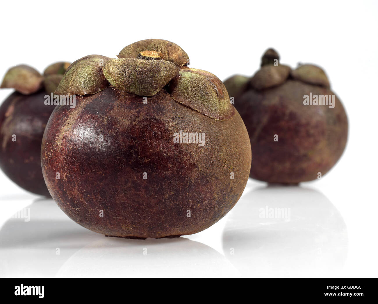 Mangoustan Garcinia mangostana AGAINST WHITE BACKGROUND Banque D'Images