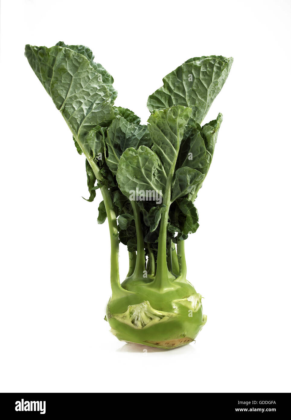 Chou-rave, Brassica oleracea, légumes contre fond blanc Banque D'Images