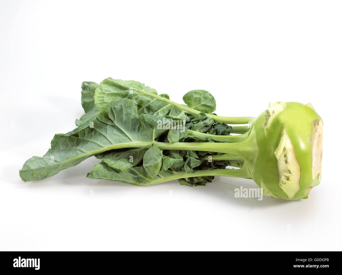 Chou-rave, Brassica oleracea, légumes contre fond blanc Banque D'Images