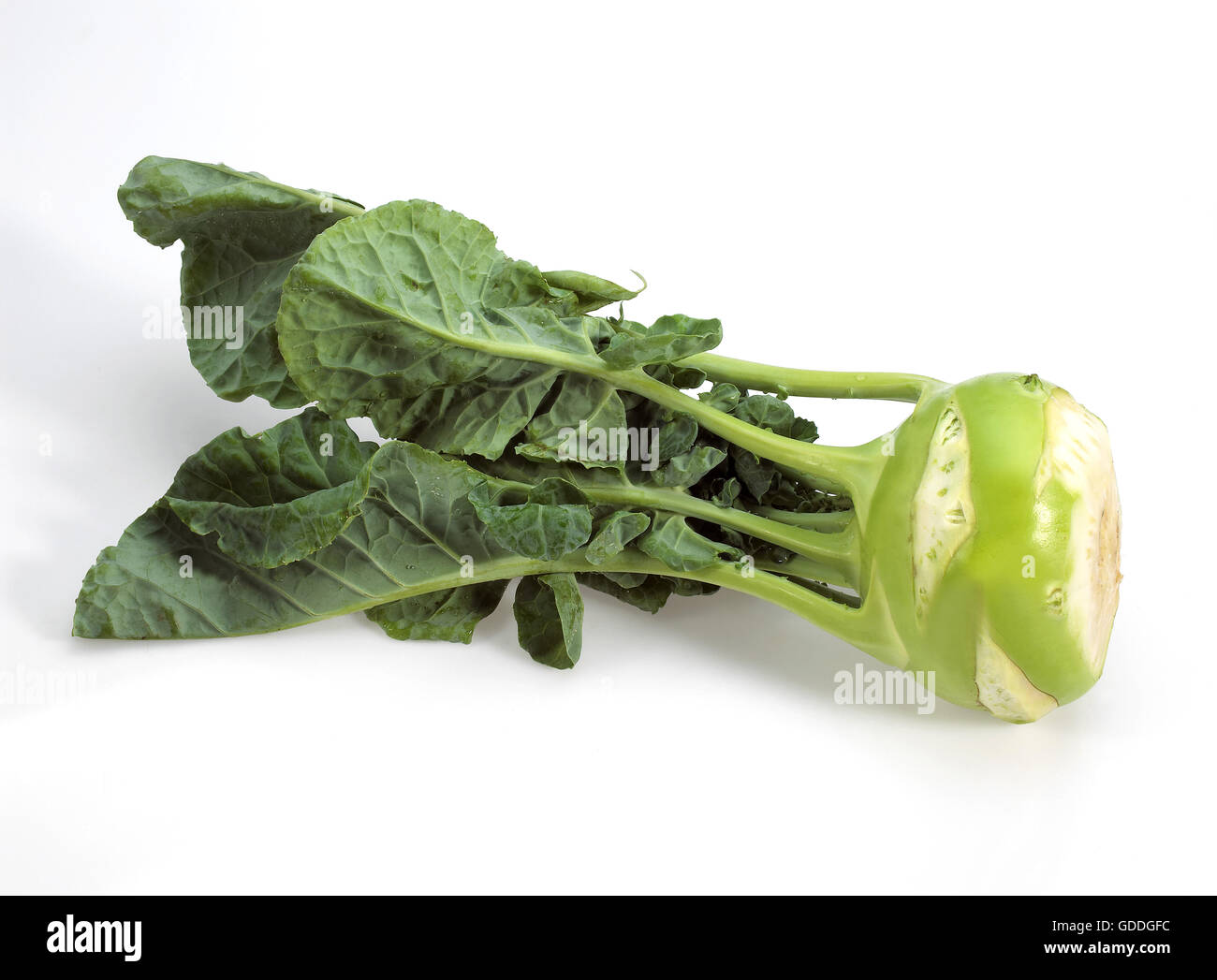 Chou-rave chou, Brassica oleracea, légumes contre fond blanc Banque D'Images