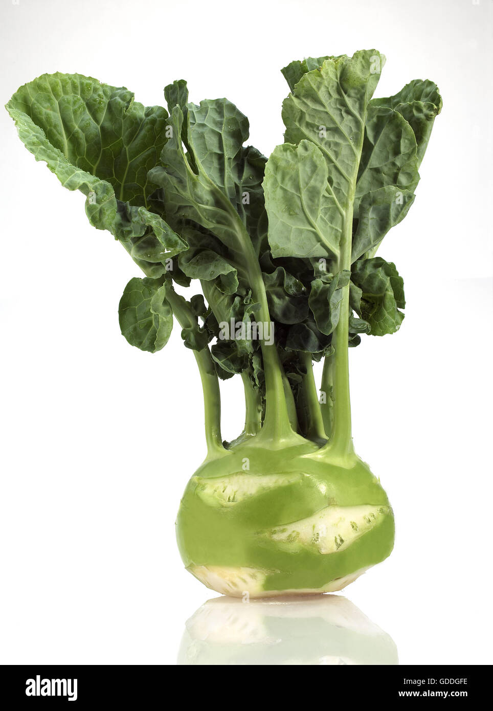 Chou-rave chou, Brassica oleracea, légumes contre fond blanc Banque D'Images