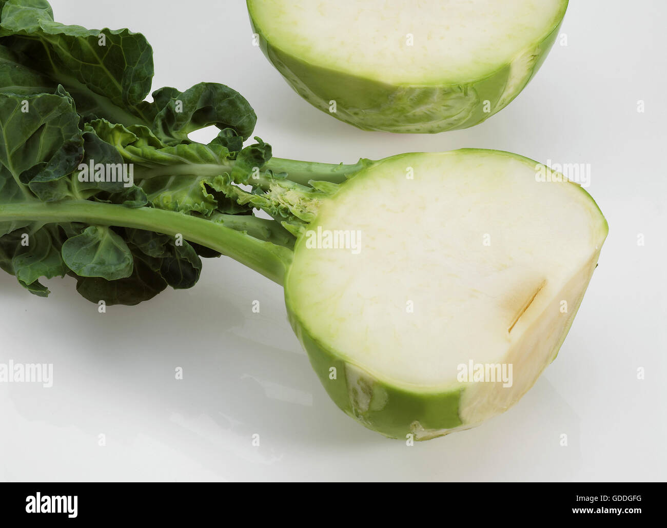 Chou-rave chou, Brassica oleracea, légumes contre fond blanc Banque D'Images